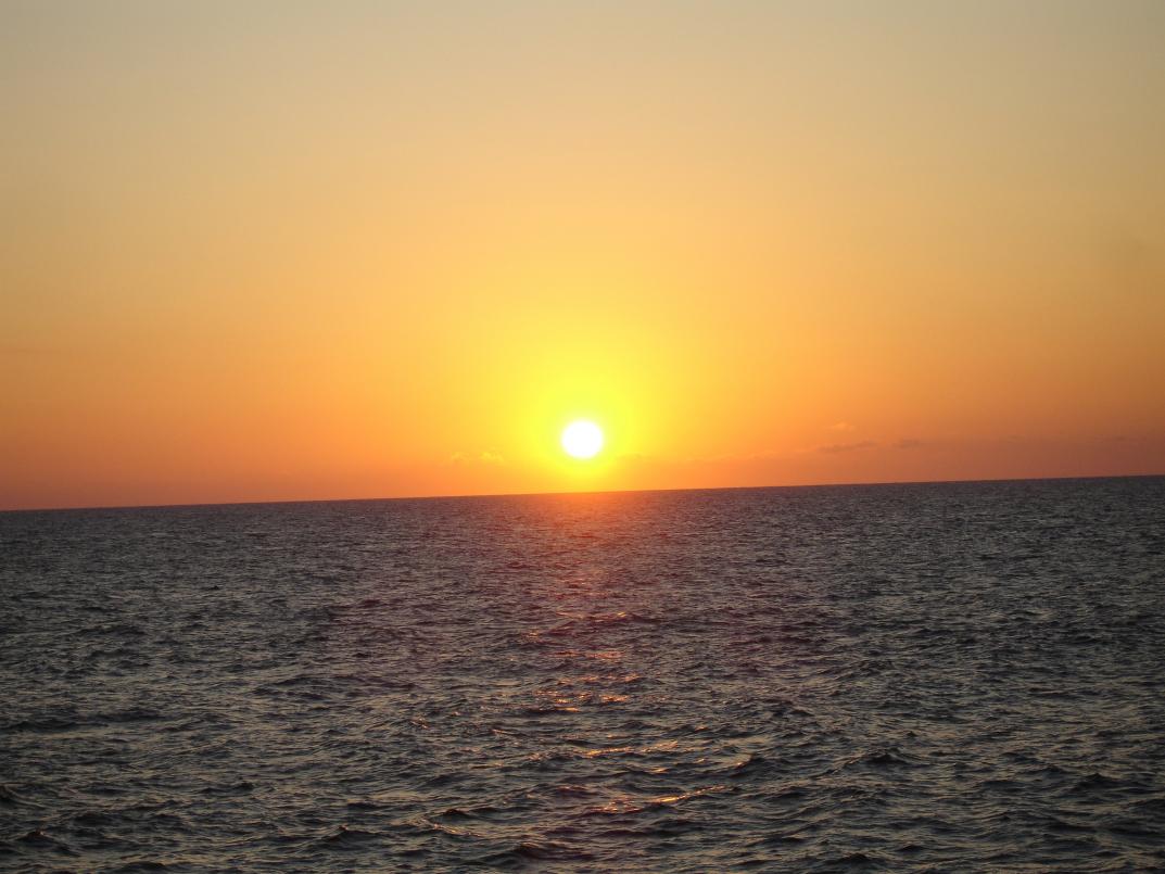 Name:  Samsara Feb 2013 381.jpg
Views: 386
Size:  95.6 KB