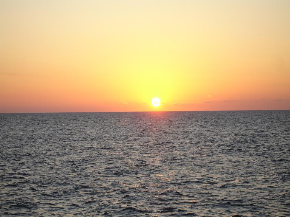 Name:  Samsara Feb 2013 386.jpg
Views: 379
Size:  95.2 KB
