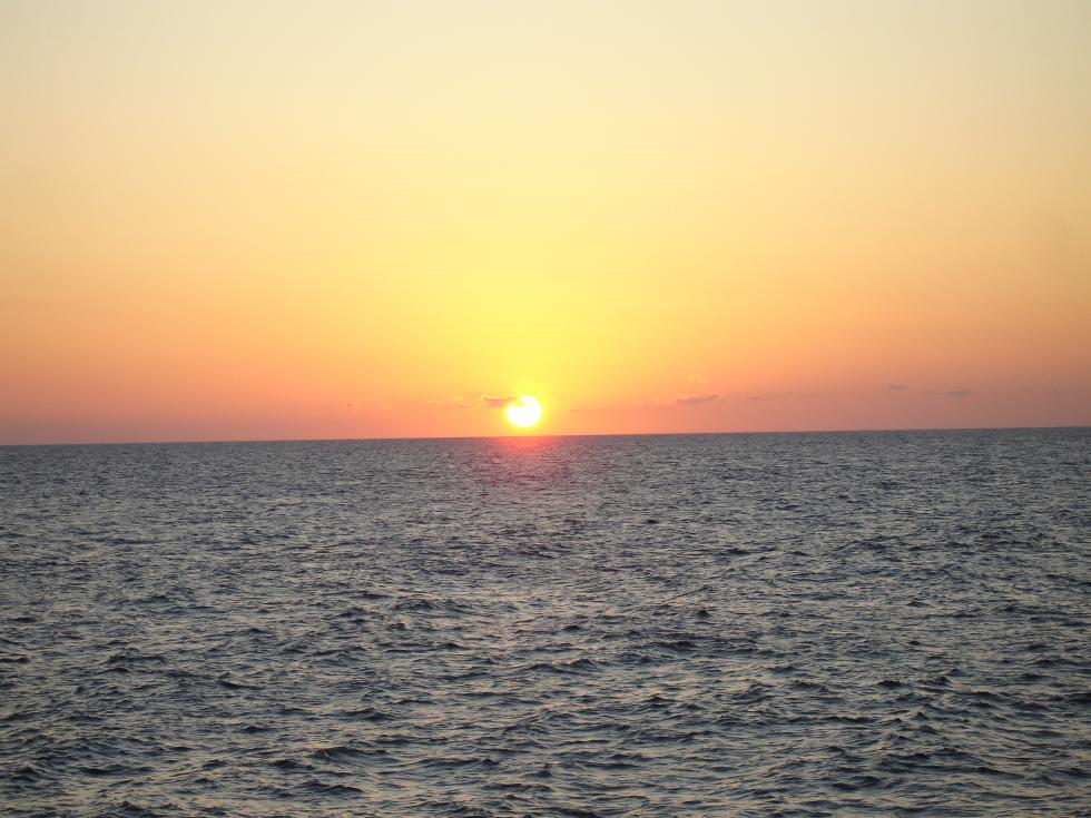 Name:  Samsara Feb 2013 387.jpg
Views: 390
Size:  95.8 KB