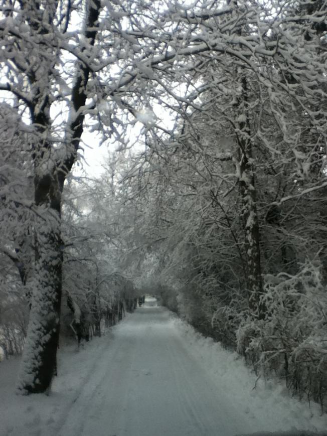 Name:  february driveway.jpg
Views: 267
Size:  95.6 KB