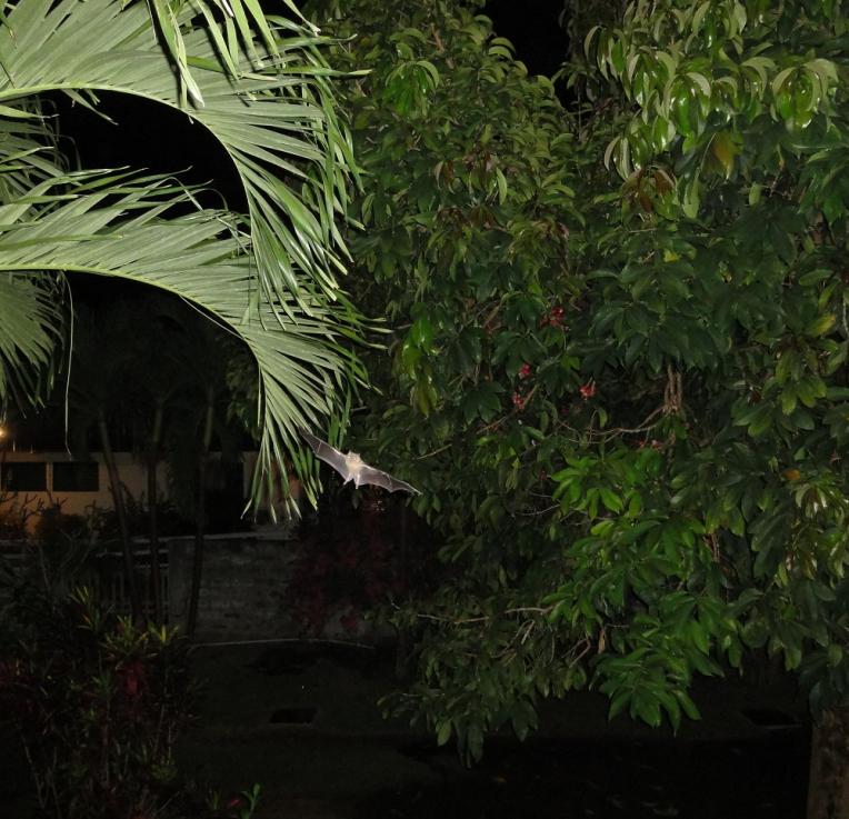 Name:  DSC04123sm.jpg
Views: 719
Size:  92.7 KB