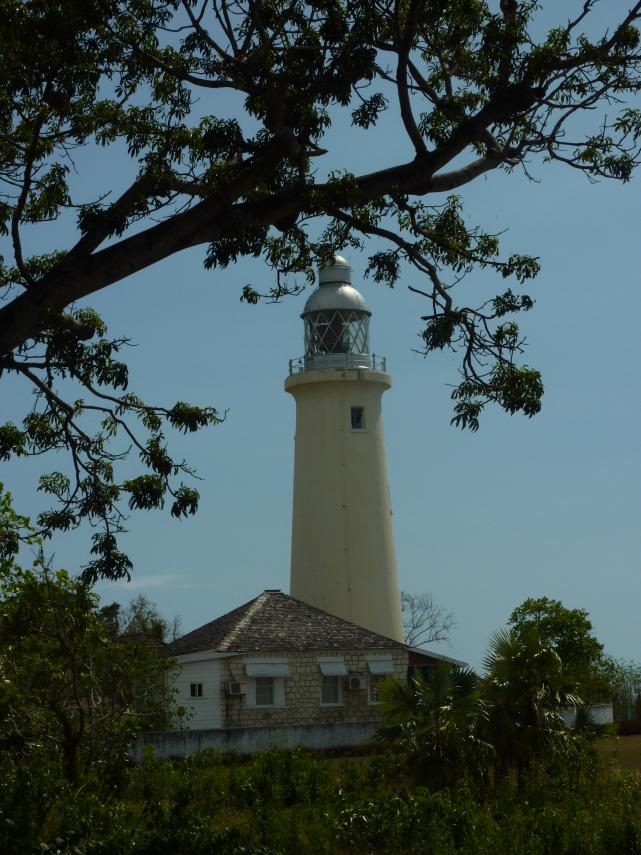 Name:  2011 Jamaica 063.jpg
Views: 443
Size:  96.5 KB