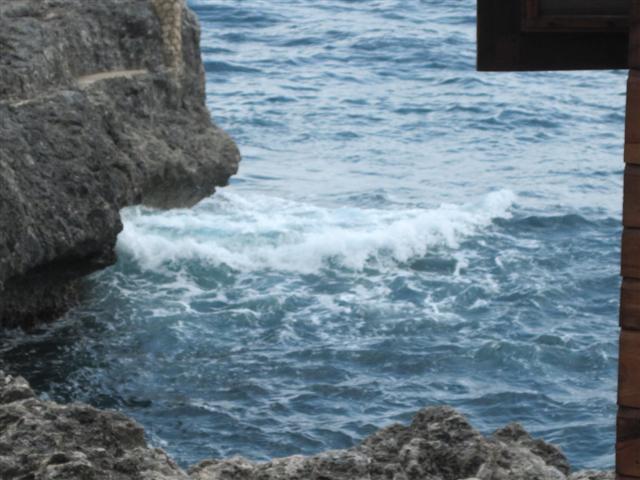 Click image for larger version. 

Name:	Jamaica June 2011 - 113 (Small).jpg 
Views:	524 
Size:	55.0 KB 
ID:	2340