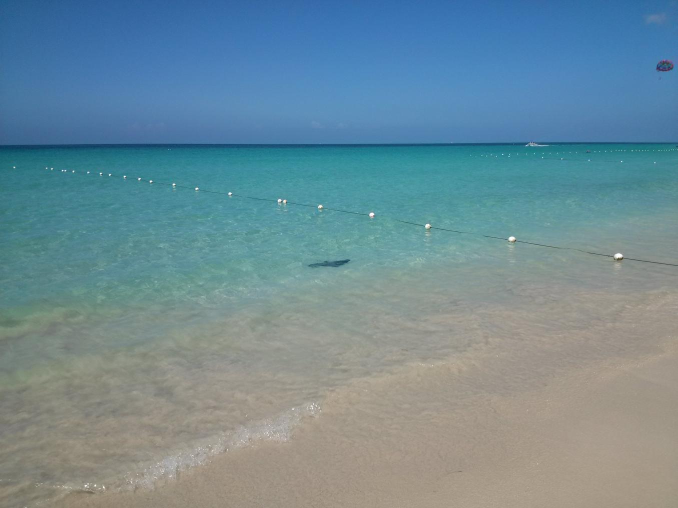 Name:  IMG741.jpg
Views: 735
Size:  90.6 KB