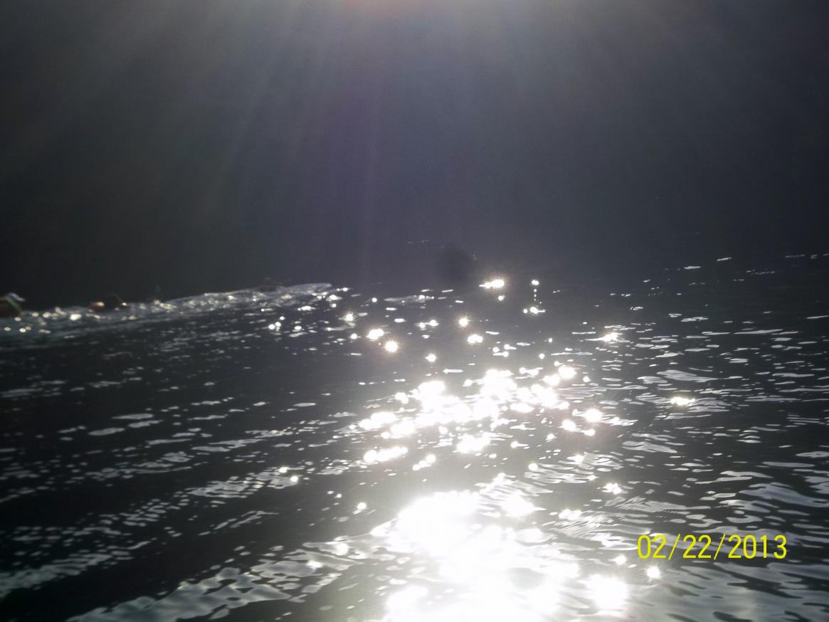 Name:  100_1566.jpg
Views: 826
Size:  83.7 KB