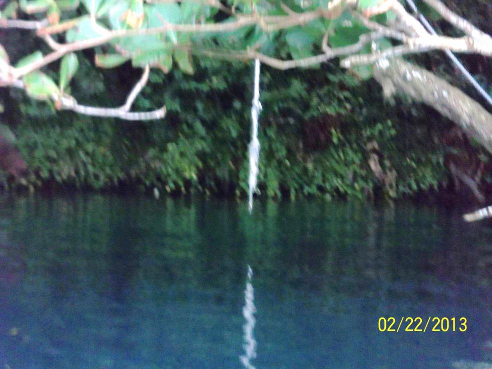 Name:  100_1570.jpg
Views: 801
Size:  96.8 KB