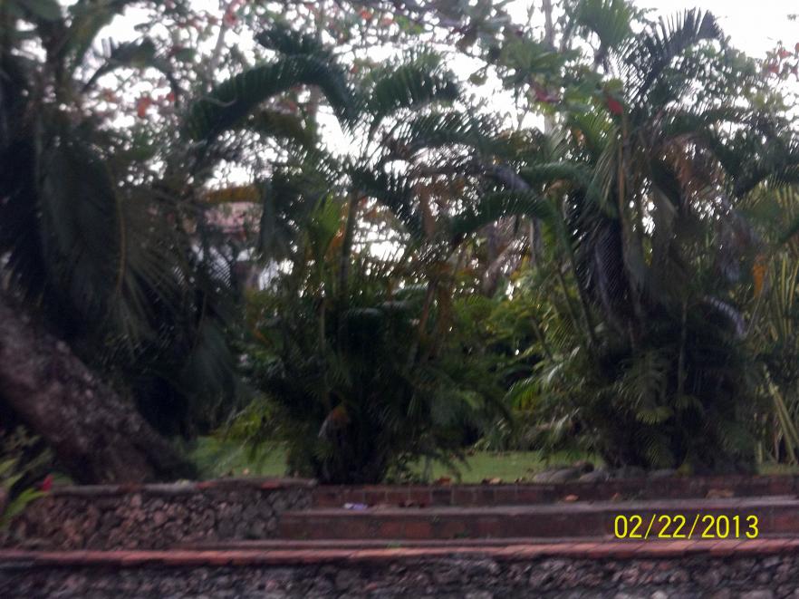 Name:  100_1576.jpg
Views: 816
Size:  94.8 KB