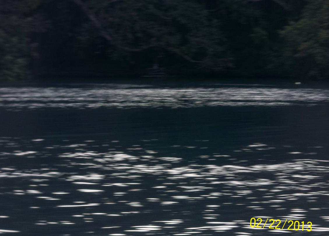 Name:  100_1569.jpg
Views: 818
Size:  89.3 KB