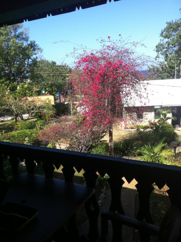 Name:  IMG_0520.jpg
Views: 748
Size:  97.3 KB