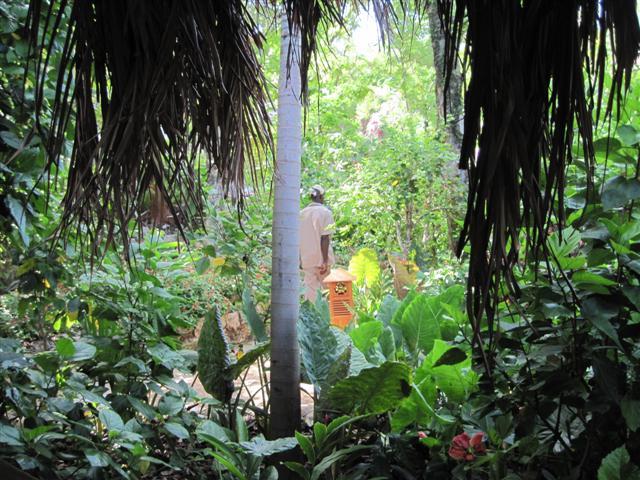 Click image for larger version. 

Name:	Jamaica June 2011 - 172 (Small).jpg 
Views:	533 
Size:	90.3 KB 
ID:	2356