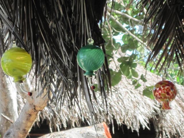 Click image for larger version. 

Name:	Jamaica June 2011 - 177 (Small).jpg 
Views:	538 
Size:	73.0 KB 
ID:	2358