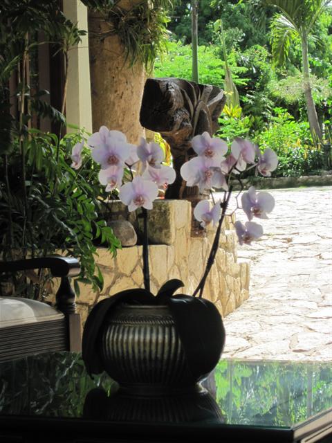 Click image for larger version. 

Name:	Jamaica June 2011 - 180 (Small).jpg 
Views:	499 
Size:	70.0 KB 
ID:	2360