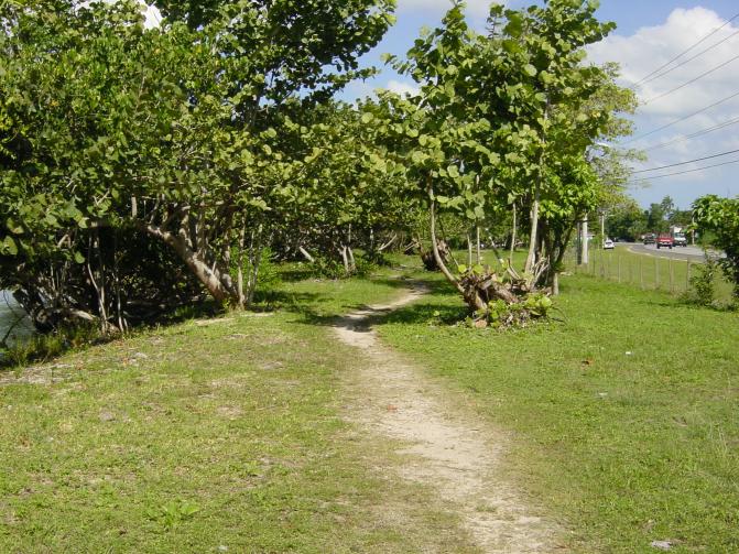 Name:  WalkThroughHere.jpg
Views: 309
Size:  99.2 KB