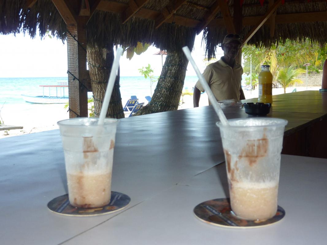 Name:  2013 Jamaica 015.jpg
Views: 740
Size:  89.2 KB