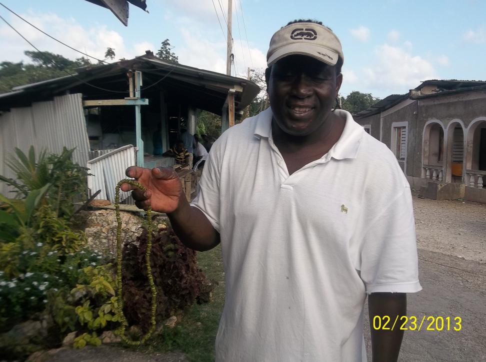 Name:  100_1741.jpg
Views: 482
Size:  94.0 KB