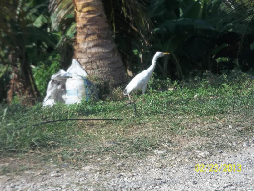 Name:  100_1755.jpg
Views: 557
Size:  98.0 KB