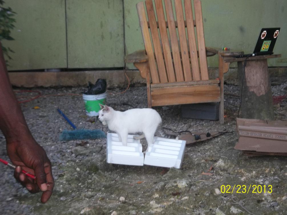 Name:  100_1814.jpg
Views: 778
Size:  91.1 KB