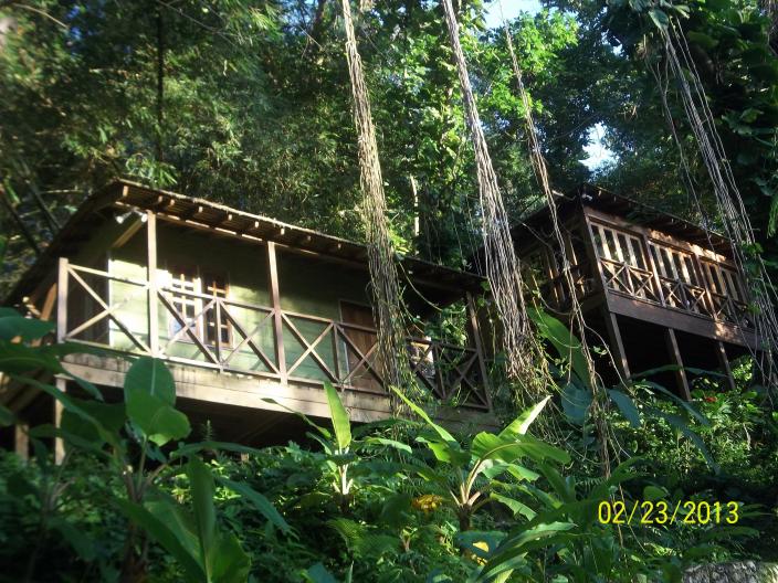 Name:  100_1835.jpg
Views: 751
Size:  101.0 KB