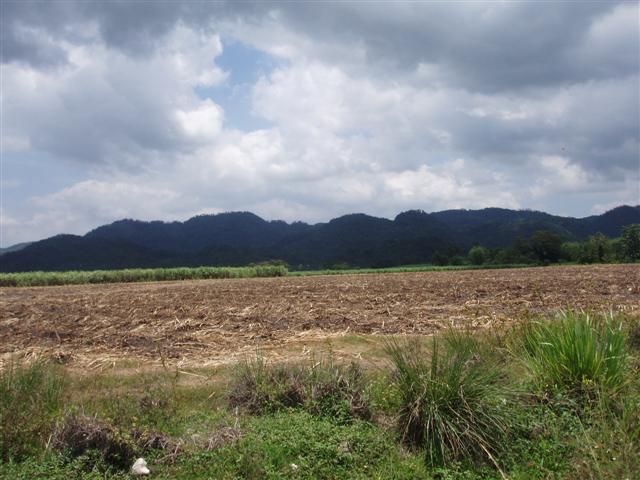 Name:  2005-2006 079 (Small) (Small).jpg
Views: 445
Size:  60.2 KB