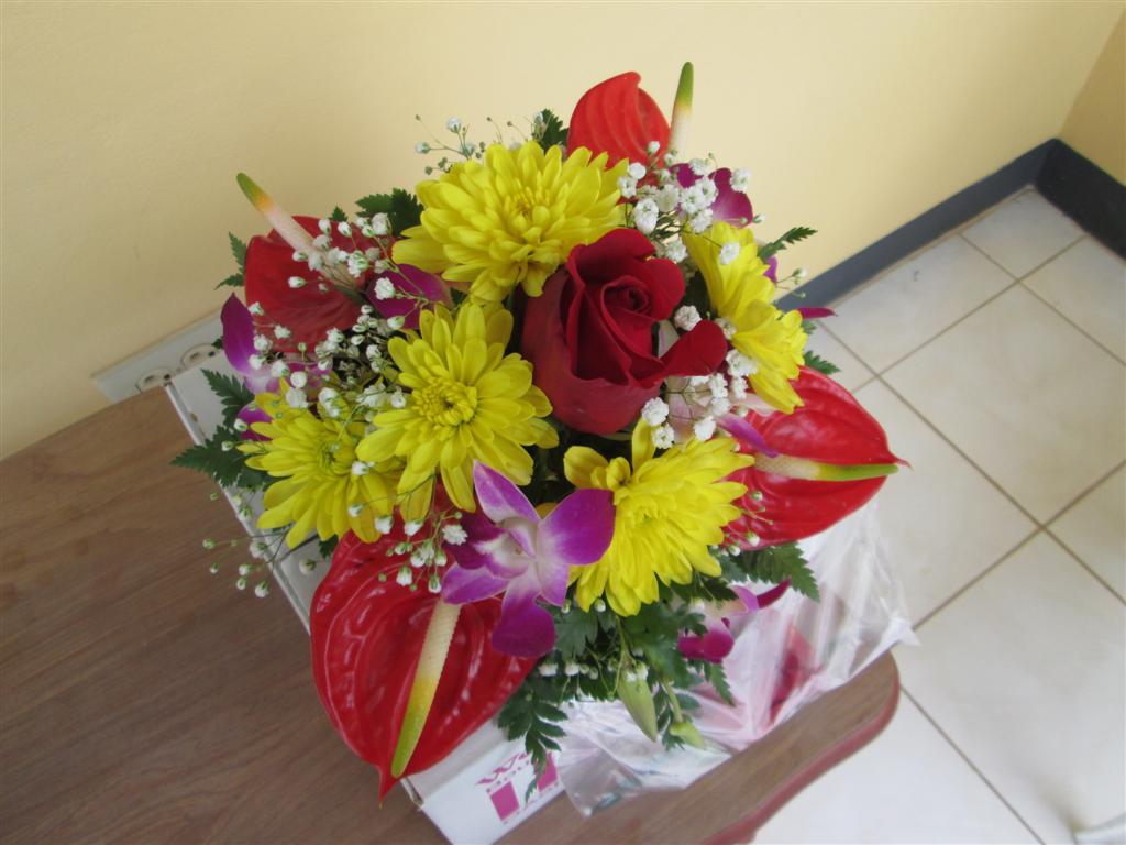 Name:  2013 Feb Negril 118.JPG
Views: 515
Size:  91.5 KB