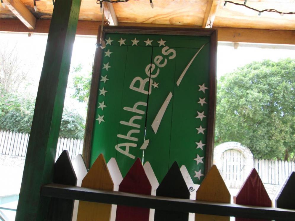 Name:  2013 Feb Negril 187.jpg
Views: 416
Size:  88.6 KB