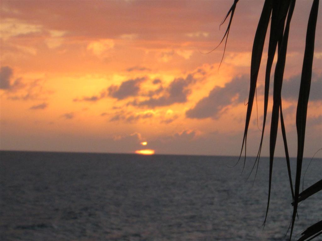 Name:  2013 Feb Negril 173.JPG
Views: 391
Size:  67.8 KB
