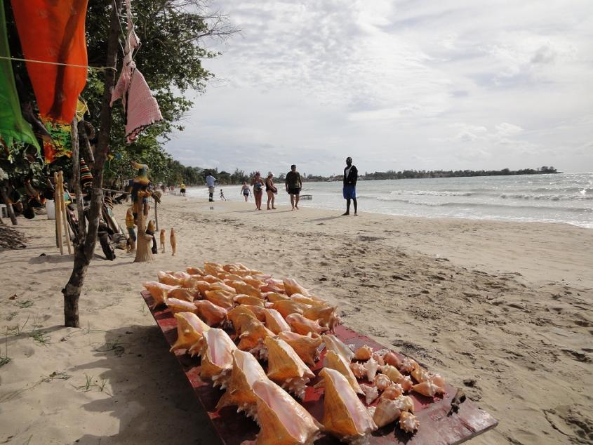 Name:  Z_DSC04640sm.jpg
Views: 605
Size:  96.6 KB