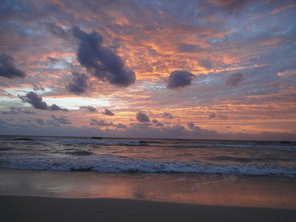 Name:  Z_DSC04654sm.jpg
Views: 649
Size:  72.9 KB