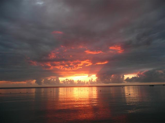 Name:  ja 2008 230 (Small).jpg
Views: 515
Size:  28.8 KB