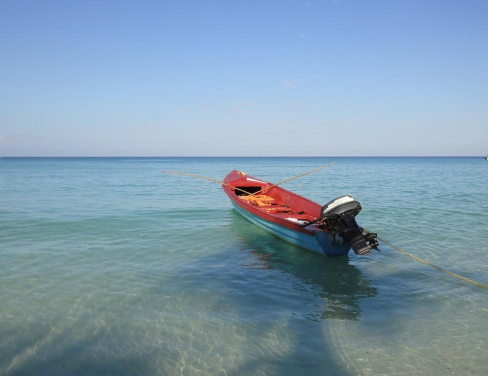 Name:  Z-DSC04486sm.jpg
Views: 467
Size:  57.6 KB