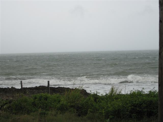 Click image for larger version. 

Name:	Jamaica June 2011 - 269 (Small).jpg 
Views:	974 
Size:	33.2 KB 
ID:	2426