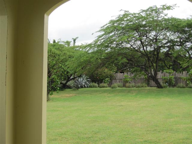Click image for larger version. 

Name:	Jamaica June 2011 - 292 (Small).jpg 
Views:	991 
Size:	50.1 KB 
ID:	2430