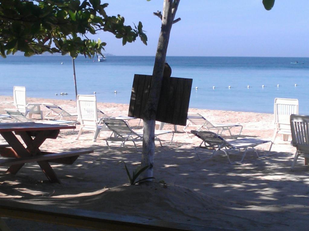 Name:  WP_000052.jpg
Views: 688
Size:  86.9 KB