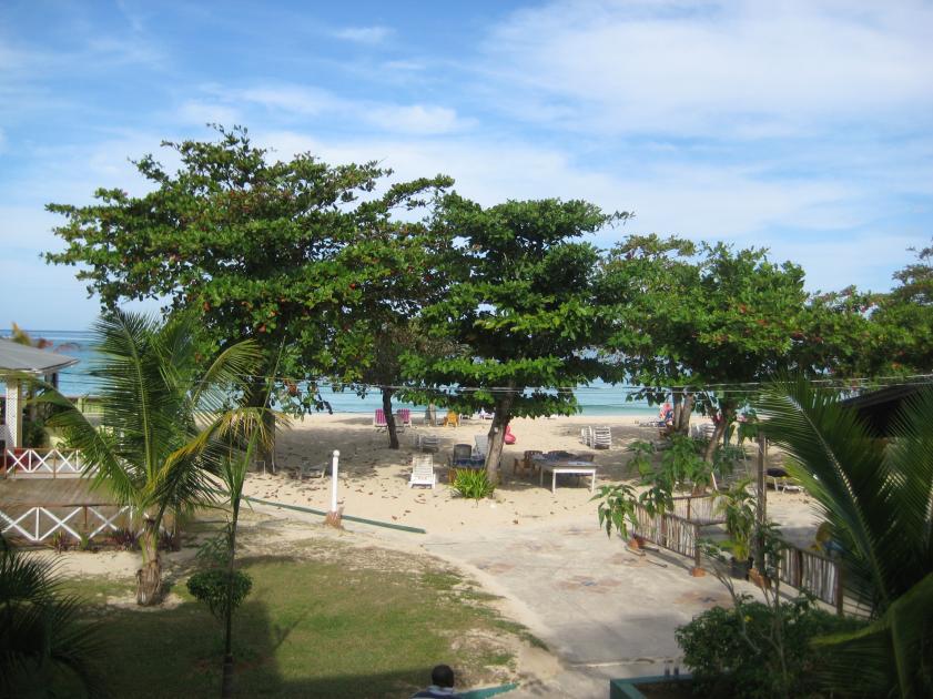 Name:  IMG_2186.jpg
Views: 234
Size:  97.3 KB