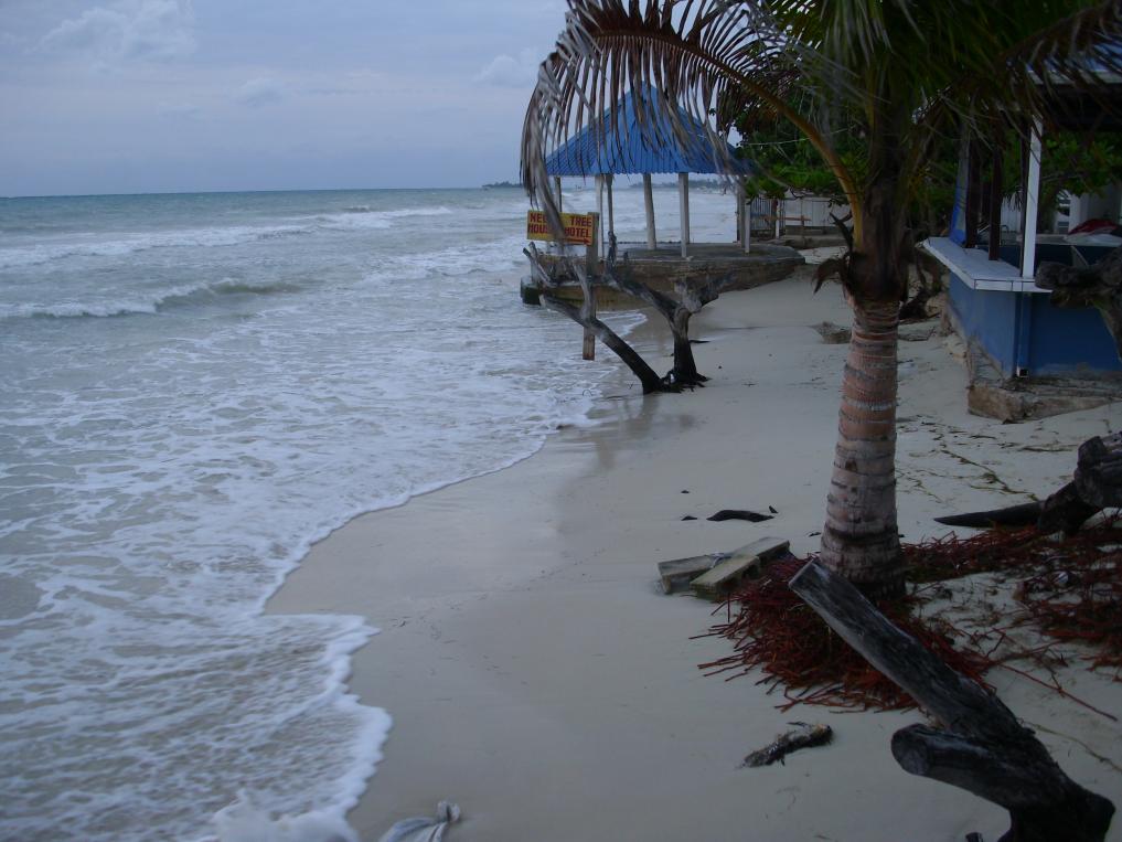 Name:  DSCI0575.jpg
Views: 541
Size:  92.0 KB