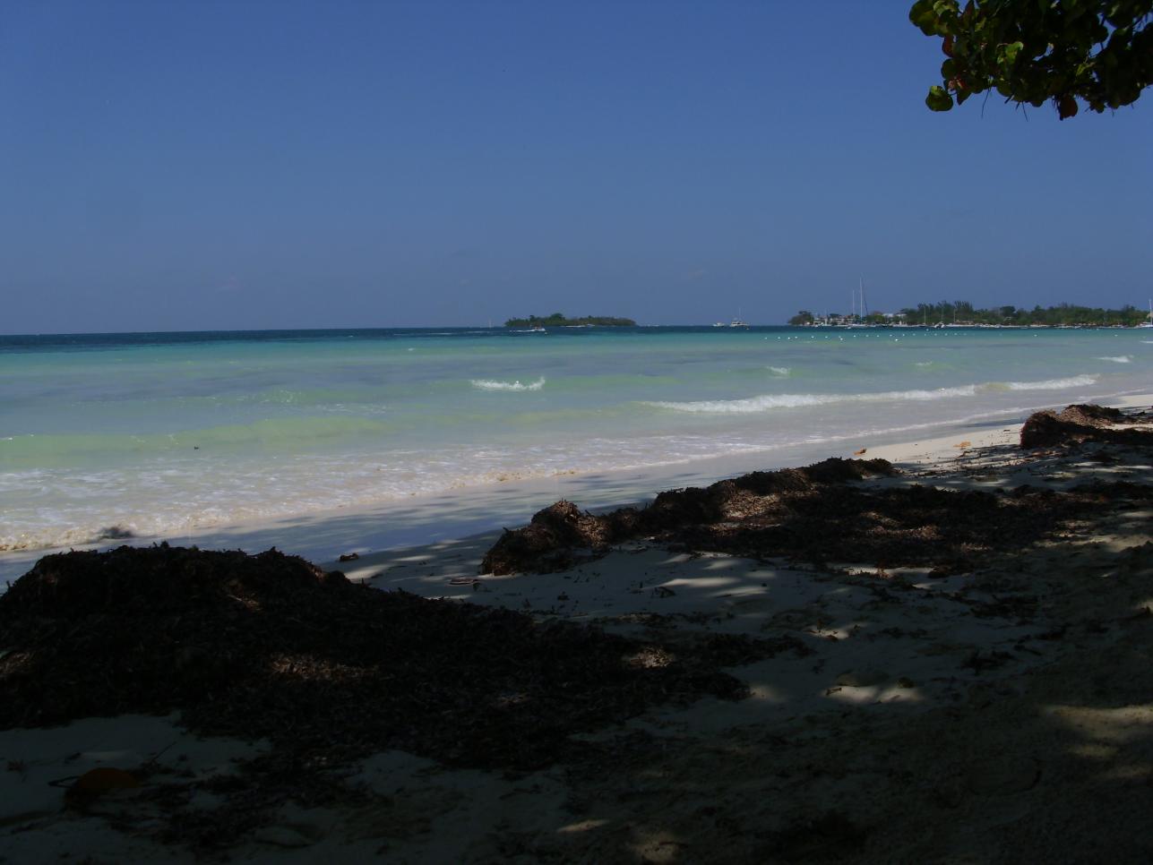 Name:  DSCI0583.jpg
Views: 551
Size:  84.4 KB