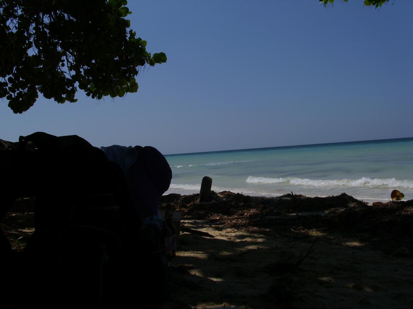 Name:  DSCI0586.jpg
Views: 539
Size:  81.3 KB