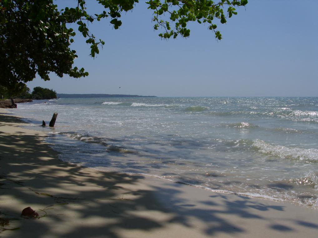 Name:  DSCI0579.jpg
Views: 590
Size:  91.8 KB