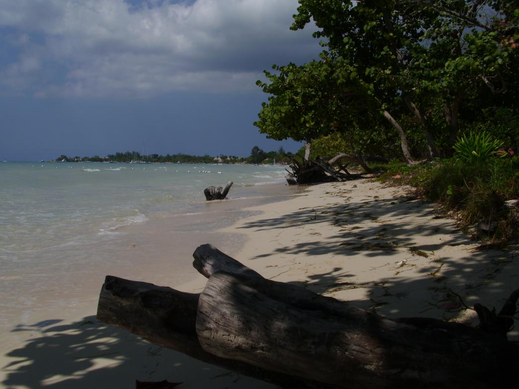 Name:  DSCI0580.jpg
Views: 599
Size:  90.8 KB