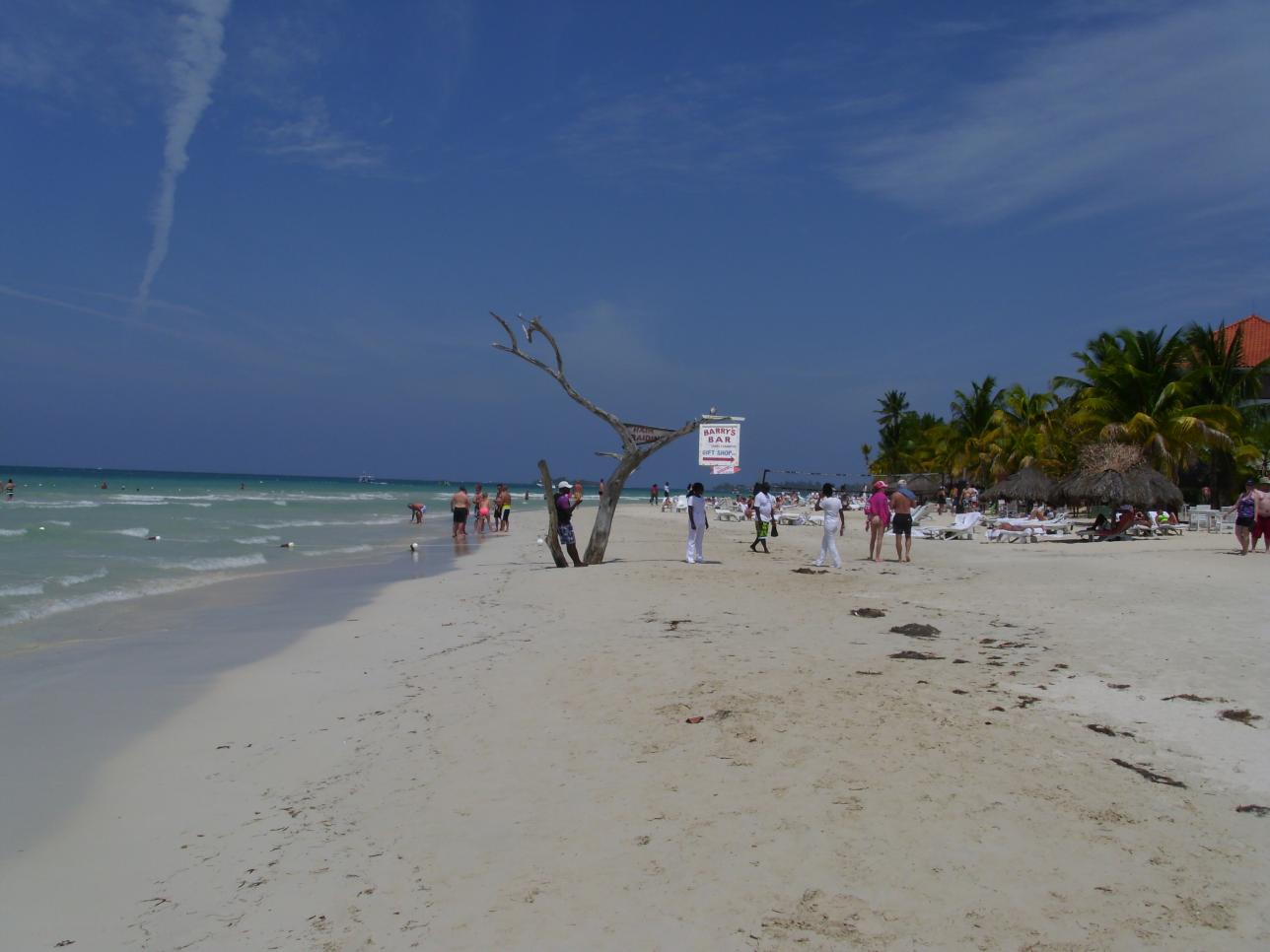 Name:  DSCI0597.jpg
Views: 732
Size:  85.2 KB
