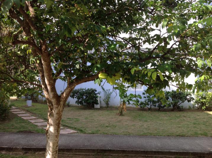 Name:  photo6.jpg
Views: 698
Size:  100.9 KB