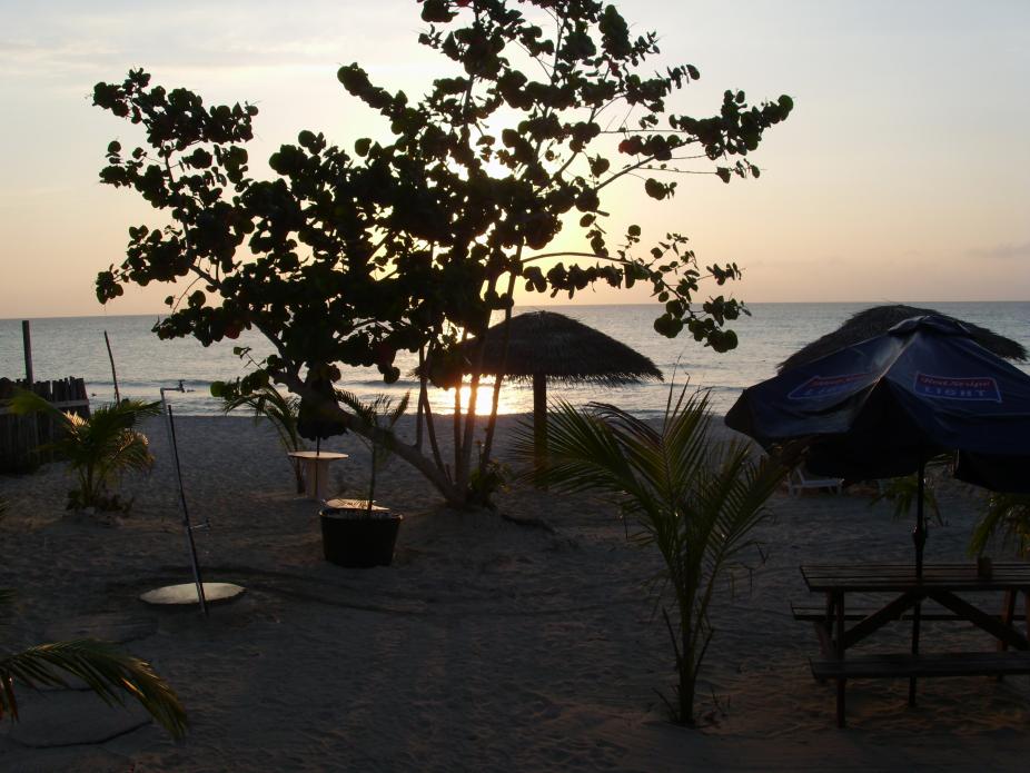 Name:  DSCI0605.jpg
Views: 435
Size:  92.9 KB