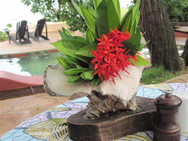 Click image for larger version. 

Name:	Jamaica June 2011 - 334 (Small).jpg 
Views:	991 
Size:	60.8 KB 
ID:	2452