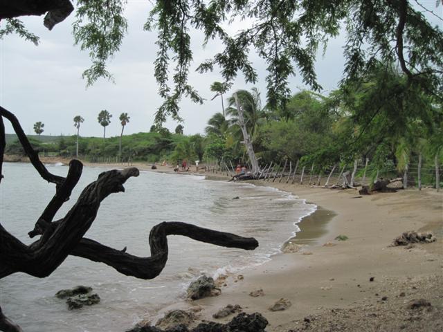 Click image for larger version. 

Name:	Jamaica June 2011 - 386 (Small).jpg 
Views:	553 
Size:	67.8 KB 
ID:	2457