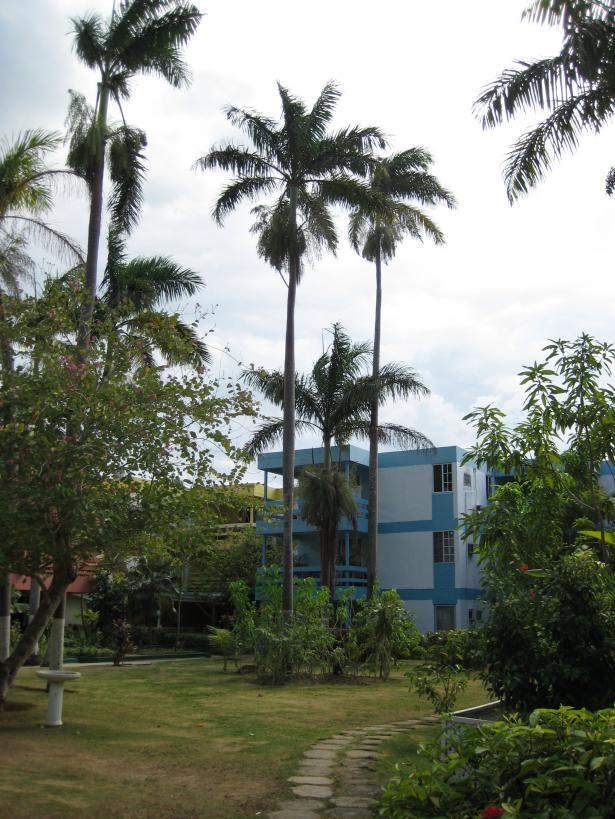 Name: IMG_0456.jpg
Views: 270
Size: 97.5 KB