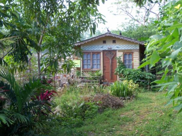 Name:  Jamaica 2010 - Fuzzy's House - Deep into Red Ground - 107_7310.jpg
Views: 370
Size:  67.8 KB
