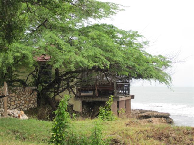 Click image for larger version. 

Name:	Jamaica June 2011 - 365 (Small).jpg 
Views:	1020 
Size:	66.2 KB 
ID:	2460