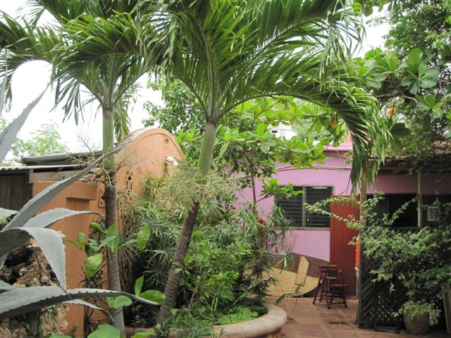 Click image for larger version. 

Name:	Jamaica June 2011 - 369 (Small).jpg 
Views:	1008 
Size:	89.0 KB 
ID:	2461