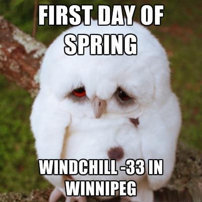 Name:  winnipeg spring.jpg
Views: 357
Size:  24.4 KB