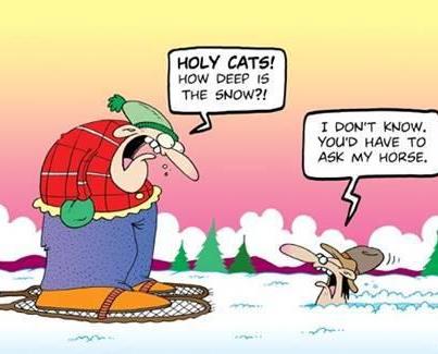 Name:  snowcartoon.jpg
Views: 325
Size:  22.9 KB